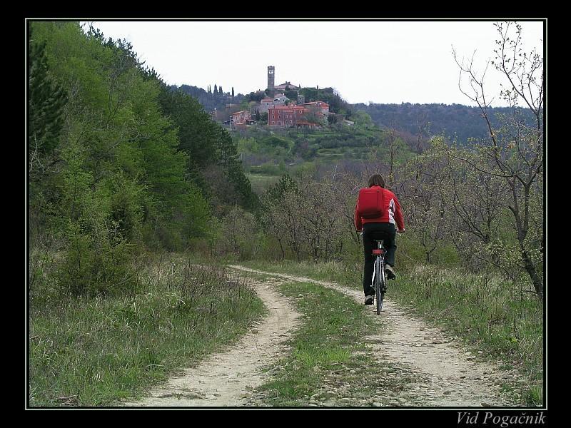 Villa Letizia Oprtalj Zimmer foto